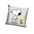 Front - Peanuts Snoopy & Woodstock Filled Cushion