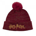 Front - Harry Potter Unisex Adult Logo Pom Pom Beanie