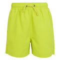 Front - Regatta Childrens/Kids Skander III Plain Swim Shorts