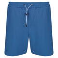 Front - Regatta Mens Hilston 2 in 1 Shorts