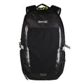 Front - Regatta Britedale 30L Hiking Backpack