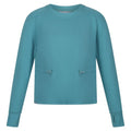 Front - Regatta Womens/Ladies Narine Marl Sweatshirt