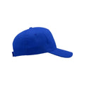 Royal - Side - Atlantis Start 5 Panel Cap