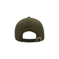 Olive - Back - Atlantis Liberty Sandwich Heavy Brush Cotton 6 Panel Cap (Pack Of 2)