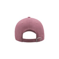 Pink - Back - Atlantis Liberty Sandwich Heavy Brush Cotton 6 Panel Cap (Pack Of 2)