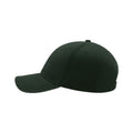 Green - Pack Shot - Atlantis Liberty Sandwich Heavy Brush Cotton 6 Panel Cap (Pack Of 2)