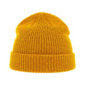 Yellow - Back - Atlantis Woolly Wool Blend Beanie