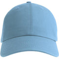 Columbia Blue - Front - Atlantis Unisex Adult Fraser 6 Panel Organic Cotton Baseball Cap