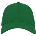 Green - Front - Atlantis Unisex Adult Curved Twill Baseball Cap