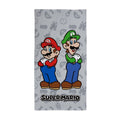 Grey-Multicoloured - Front - Nintendo Mario & Luigi Cotton Beach Towel