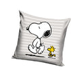 Grey - Front - Peanuts Snoopy & Woodstock Filled Cushion