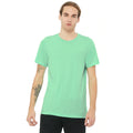 Sea Green Triblend - Back - Canvas Mens Triblend Crew Neck Plain Short Sleeve T-Shirt