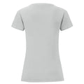 Zinc - Back - Fruit of the Loom Womens-Ladies Iconic 150 T-Shirt