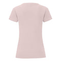 Powder Rose - Back - Fruit of the Loom Womens-Ladies Iconic 150 T-Shirt