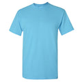 Sky - Back - Gildan Mens Heavy Cotton Short-Sleeved T-Shirt