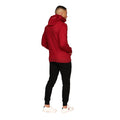 Red - Back - Juice Mens Venmark Snood Collar Hoodie