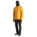 Vintage Yellow - Lifestyle - Craghoppers Mens Compresslite VIII Hooded Padded Jacket