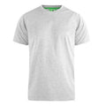 Grey Melange - Front - Duke Mens D555 Flyers T-Shirt