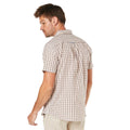 Beige - Back - Maine Mens Sail Checked Short-Sleeved Shirt