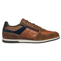 Brown-Navy - Lifestyle - Geox Mens U Renan B Suede Trainers