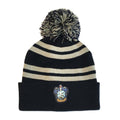 Blue-Silver - Front - Harry Potter Ravenclaw Beanie