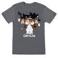 Charcoal Grey - Front - Gremlins Mens Ball T-Shirt