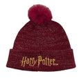 Maroon - Front - Harry Potter Unisex Adult Logo Pom Pom Beanie