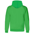 Green - Back - Super Mario Unisex Adult Luigi Badge Pullover Hoodie