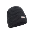 Navy - Pack Shot - Mountain Warehouse Mens Knitted Thinsulate Beanie