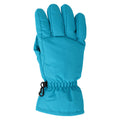 Teal - Front - Mountain Warehouse Womens-Ladies Ski Gloves