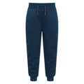 Bright Blue - Front - Mountain Warehouse Childrens-Kids Nordic Faux Fur Lined Jogging Bottoms