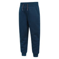 Bright Blue - Side - Mountain Warehouse Childrens-Kids Nordic Faux Fur Lined Jogging Bottoms