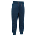 Bright Blue - Lifestyle - Mountain Warehouse Childrens-Kids Nordic Faux Fur Lined Jogging Bottoms