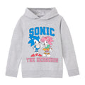 Grey Marl - Front - Sonic The Hedgehog Girls Collegiate Sonic & Amy Hoodie