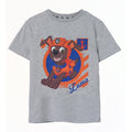 Grey Marl - Front - Paw Patrol Boys Zuma Short-Sleeved T-Shirt