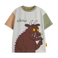 Multicoloured - Back - The Gruffalo Boys Colour Block T-Shirt & Shorts Set