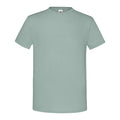 Sage - Front - Fruit Of The Loom Mens Iconic T-Shirt