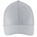 Pure Grey - Back - SOLS Unisex Buffalo 6 Panel Baseball Cap