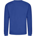 Bright Royal Blue - Back - AWDis Adults Unisex Just Hoods Sweatshirt