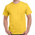 Daisy - Front - Gildan Mens Heavy Cotton T-Shirt