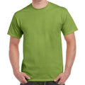 Kiwi - Front - Gildan Mens Heavy Cotton T-Shirt