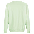 Creamy Green - Back - SOLS Unisex Adult Columbia Sweatshirt