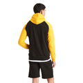 Jet Black-Gold - Back - Awdis Mens Baseball Hoodie