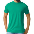 Kelly Mist - Front - Gildan Mens Softstyle CVC T-Shirt