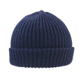 Navy - Back - Result Winter Essentials Whistler Beanie