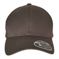 Dark Grey - Front - Flexfit 110 Curved Peak Cap