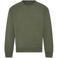 Earthy Green - Front - Awdis Unisex Adult Signature Heavyweight Sweatshirt