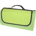 Mid Green - Front - Bullet Salvie Plastic Picnic Blanket