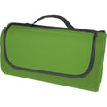 Green - Front - Bullet Salvie Plastic Picnic Blanket