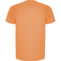 Fluorescent Orange - Back - Roly Mens Imola Short-Sleeved Sports T-Shirt